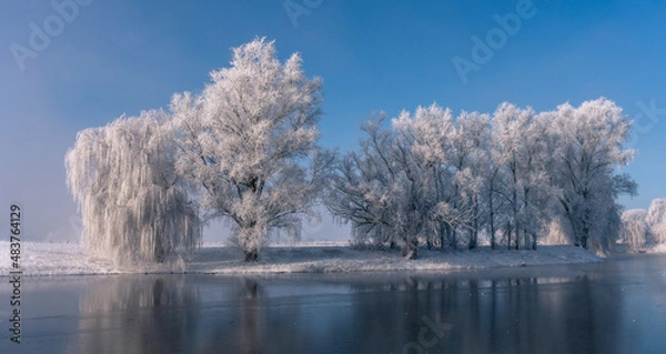 Obraz winterwonderland freeze trees