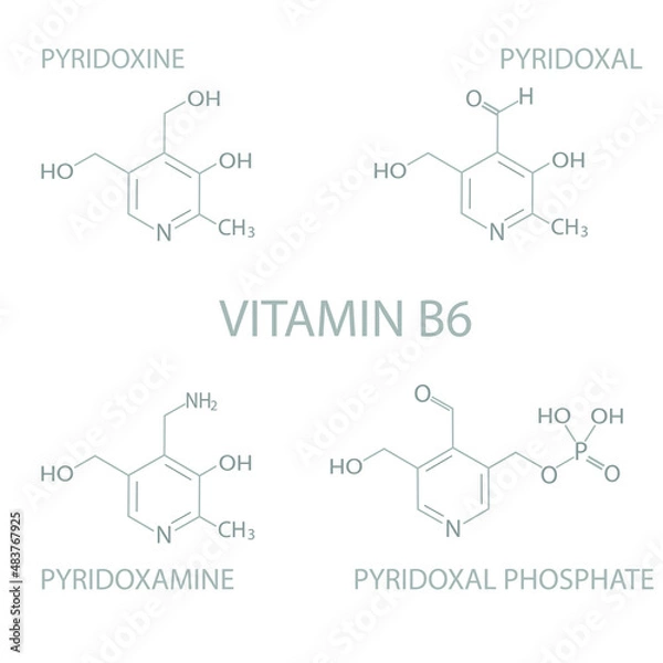 Fototapeta Vitamin B6 molecular skeletal chemical formula.	
