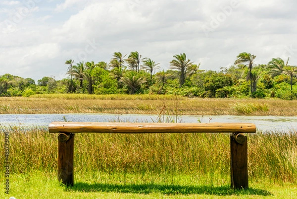 Obraz Pântano Calmo 