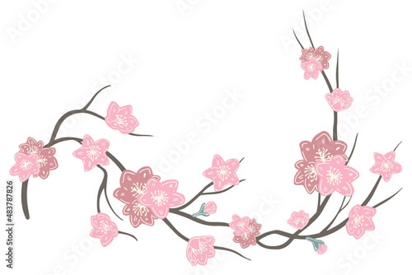 Obraz Isolated vector set of abstract colorful branch with blossoming sakura flowers
