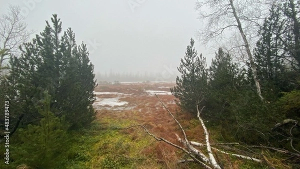 Fototapeta Wildseemoor