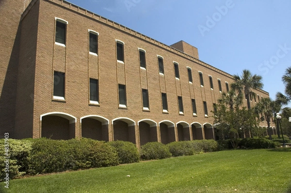 Obraz Brown Building