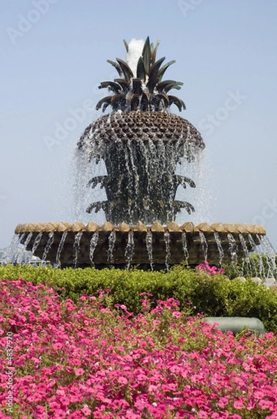 Obraz Pineapple fountain