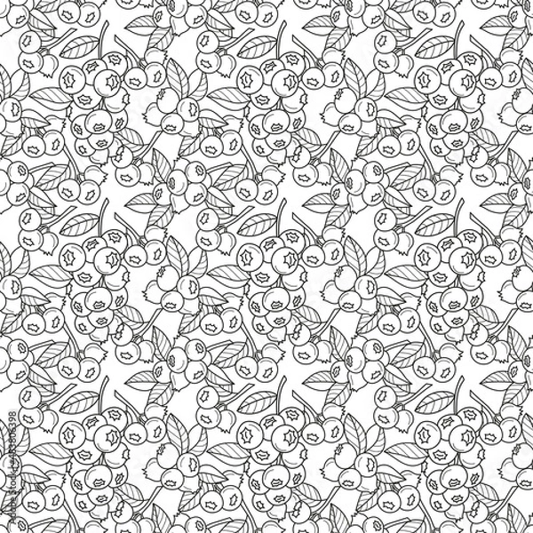 Fototapeta Blueberry seamless fabric pattern, seamless digital paper, berry seamless file, line art blueberry