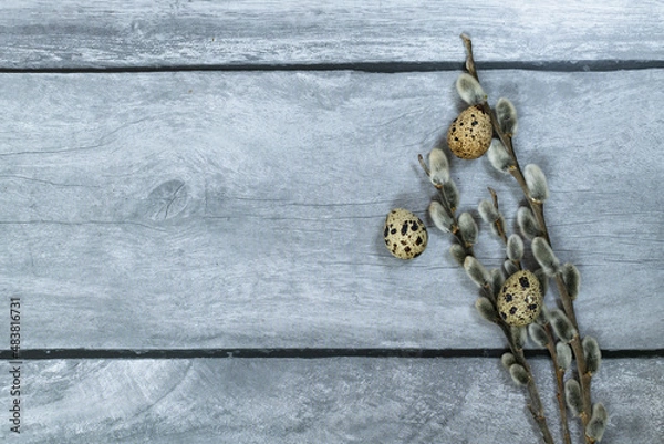 Fototapeta Easter background. Willow branches and three quail eggs on the right against a light wood background.