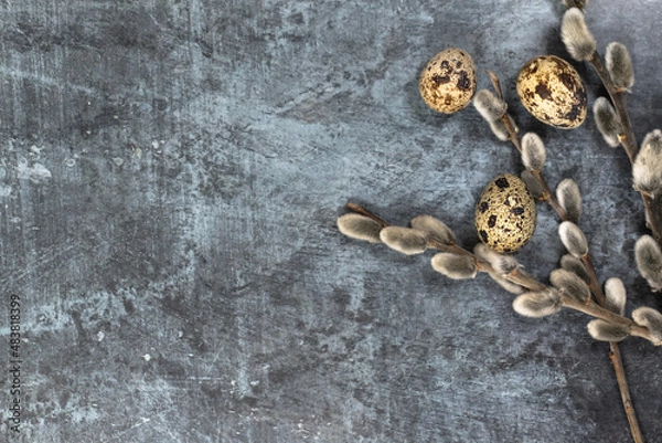 Obraz Easter background. Willow branches and three quail eggs on the right against a dark background.