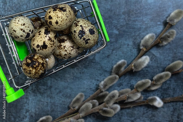 Obraz Easter background. Quail eggs in a cart on a dark background with a pussy willow branch.
