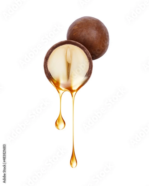 Fototapeta Drops of oil dripping from half of macadamia nut close up