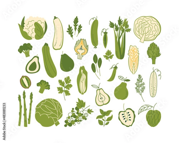 Obraz Set of various green vegetables, fruits, herbs in flat style. Vegetable products. Vector illustration with cucumber, pear, asparagus, grape, and other plant food