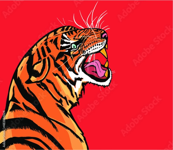 Obraz scared angry wild tiger red