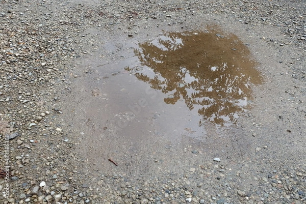 Obraz 梅雨の晴れ間と水たまり