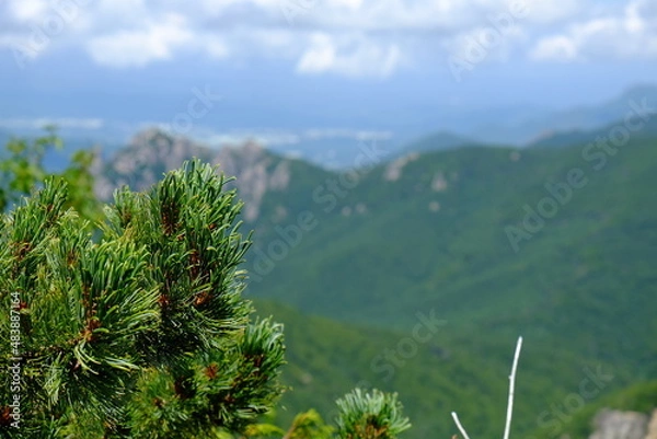 Obraz 榛松の先に瑞牆山