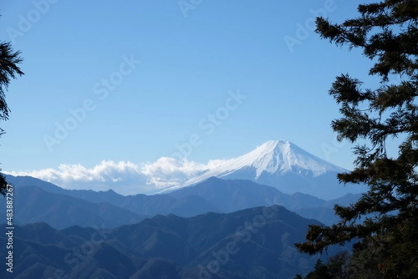 Fototapeta 扇山から雪化粧の富士山を望む
