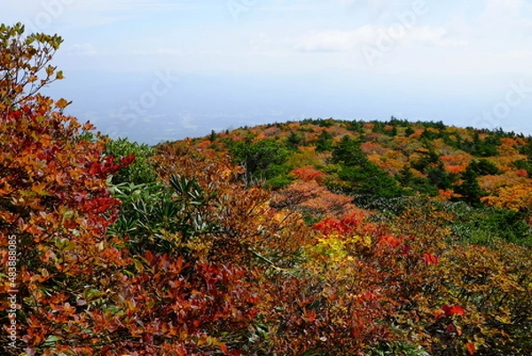 Obraz 安達太良山の紅葉の山肌