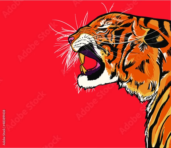 Fototapeta tiger cartoon growling smiling showing teeth 