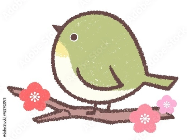 Obraz メジロと梅の木