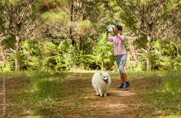 Fototapeta girl playing ball with a cute fluffy japanese spitz puppy dog on natural background in a forest or park