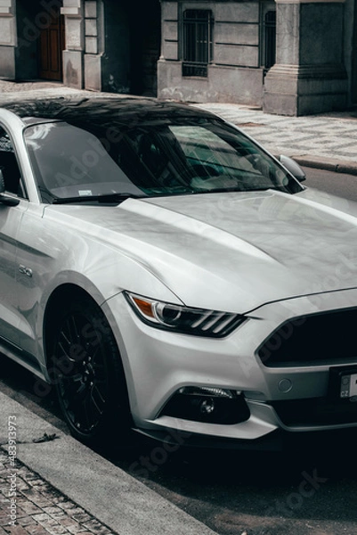 Obraz Mustang BW