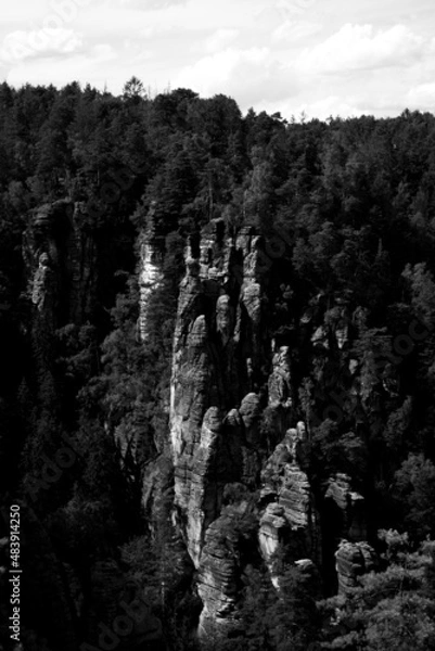 Obraz Black and white 