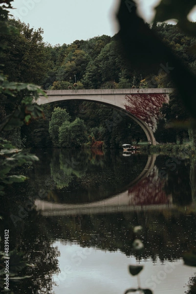 Obraz Bridge over the river