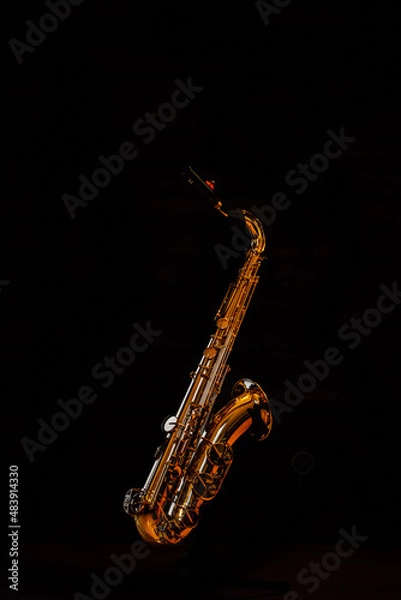 Obraz Saxophone