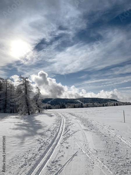 Obraz Track in the mountains