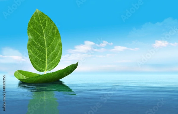 Obraz Łódź z liści