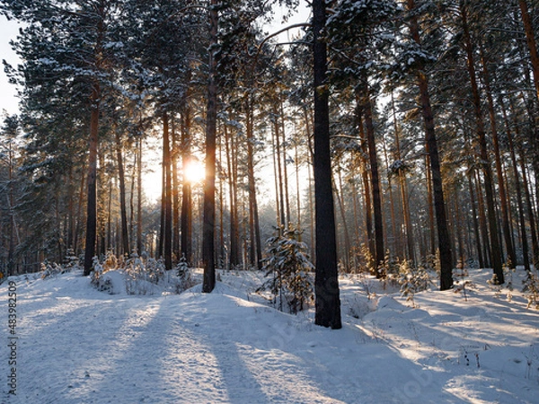 Obraz Winter landscape in Central Siberia