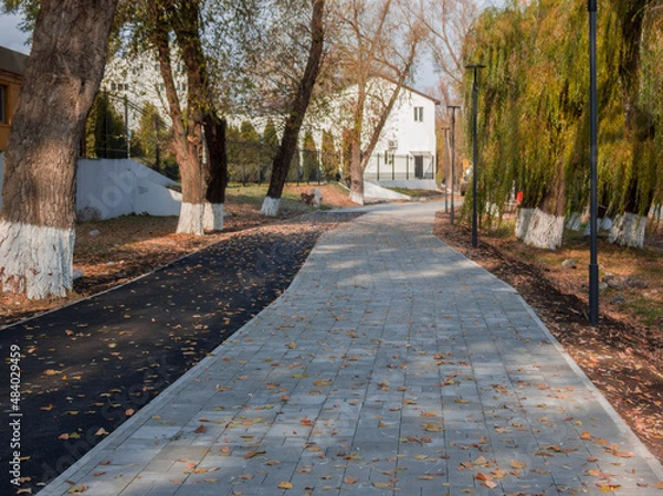 Obraz autumn in the park