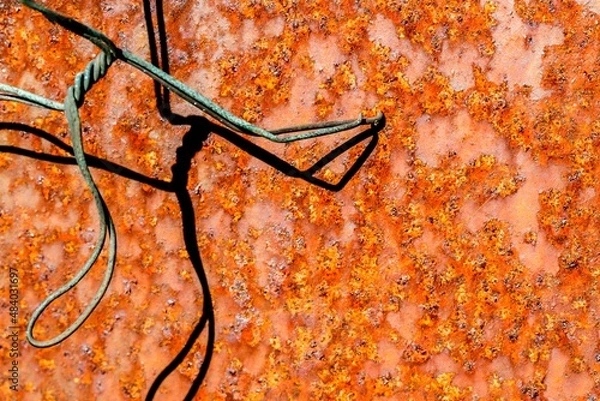 Fototapeta Baling Wire