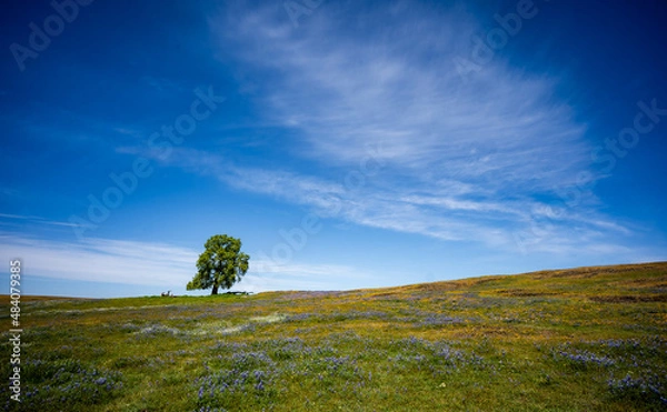 Obraz Windows 95 Vibes