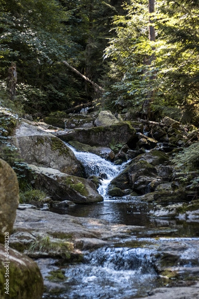 Obraz waterfall in the forest Harz Germany