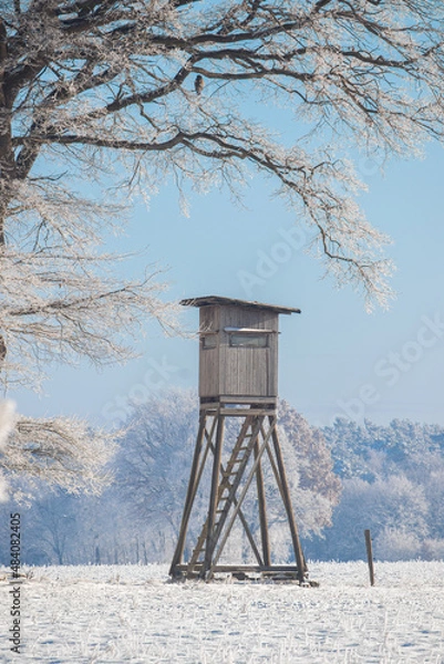 Obraz hunting tower bird hawk trees in winter
