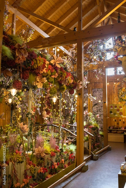 Obraz ドライフラワー