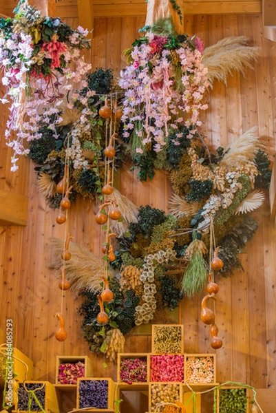 Obraz ドライフラワー