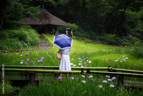 Fototapeta 雨の散策