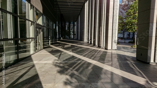 Fototapeta ビル影