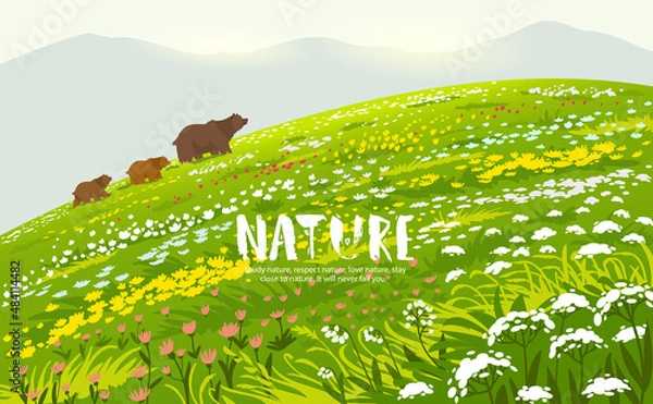 Obraz bears in the field