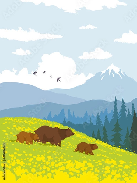 Obraz bears nature mountains