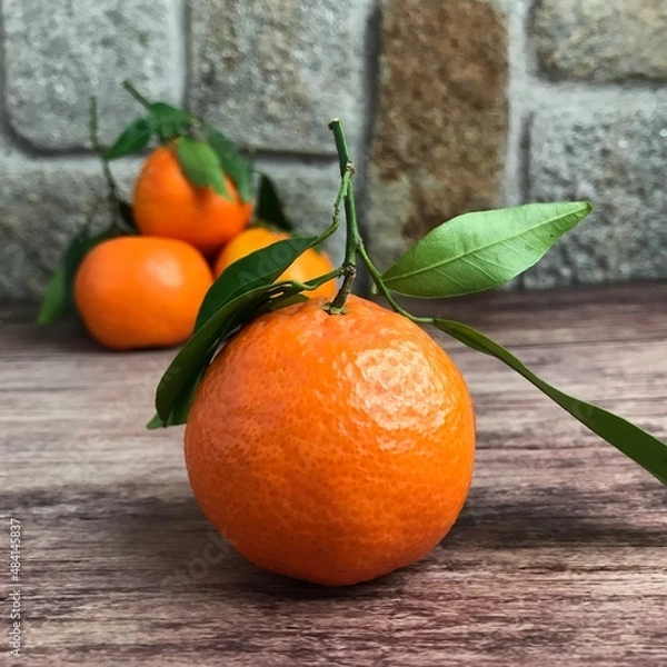 Obraz tangerines on wooden background