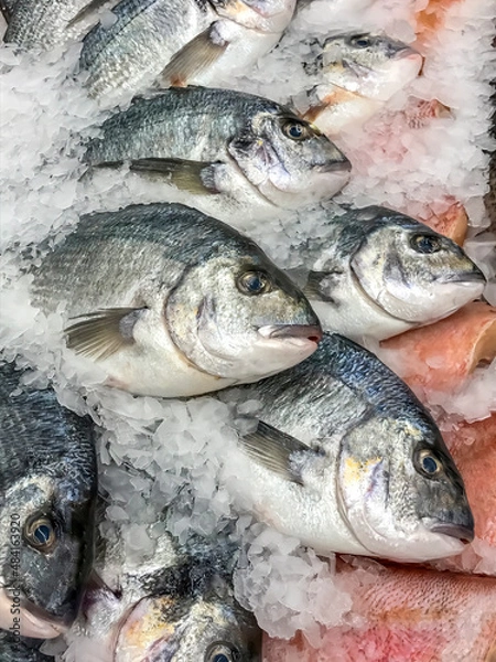 Obraz fresh delicious frozen fish on ice