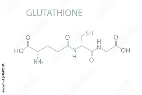 Fototapeta Glutathione molecular skeletal chemical formula.	
