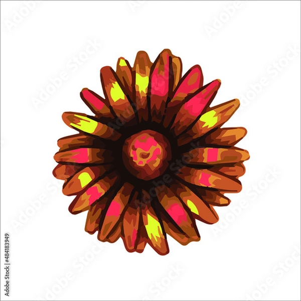 Obraz red and yellow flower