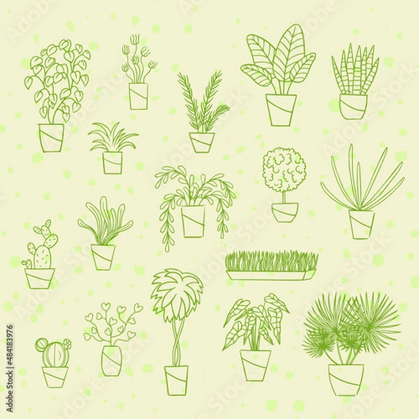 Obraz Set of home plants. Linear hand drawing.