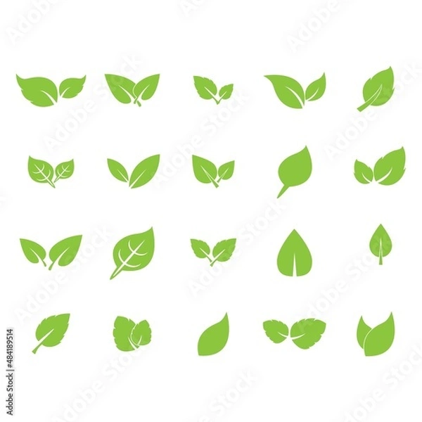 Fototapeta leaf logo icon vector design template