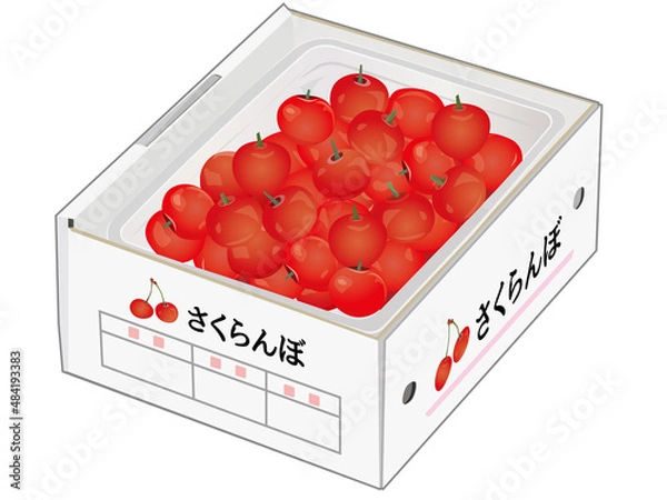 Fototapeta さくらんぼ箱入り