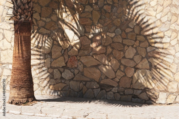 Fototapeta The stone wall is textured with a shadow from the palm tree