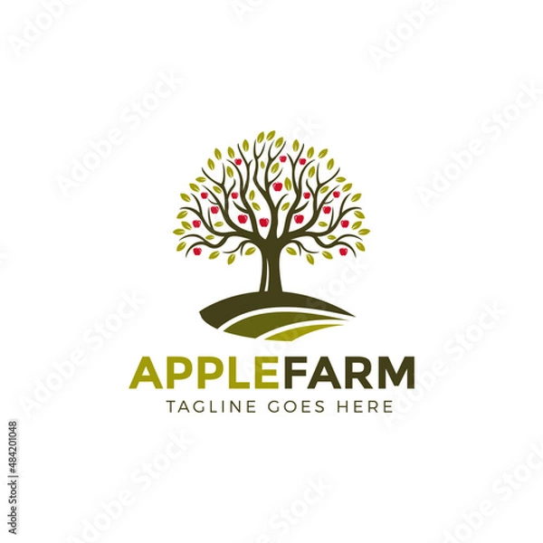 Obraz Apple farm logo design, tree apple logo design vector illustration