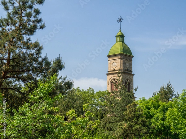 Fototapeta Clock tower in pine forest