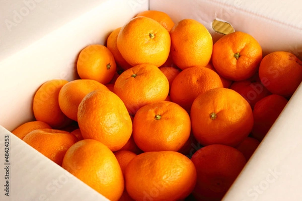 Fototapeta ダンボール箱に入ったミカン